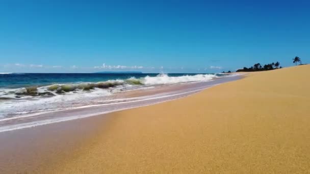 Hawaii Kauai Sahanın Solundaki Okyanus Dalgaları Boyunca Uzanan Bir Kumsalda — Stok video