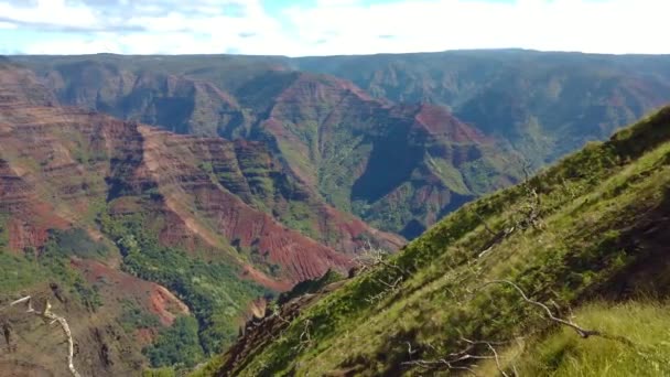 Hawaii Kauai Pan Jobbról Balra Waimea Canyon Végződik Növényzet Előtérben — Stock videók