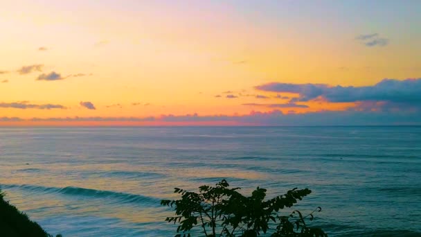 Hawaii Kauai Yavaş Çekim Ağaç Okyanusun Üzerinde Durgun Çekim Sol — Stok video