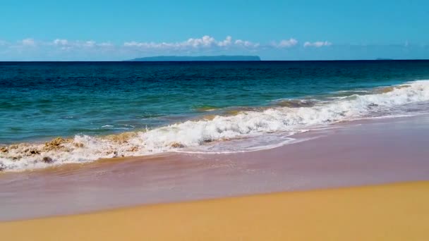 Hawaii Kauai Yavaş Çekim Plajın Sağından Sola Doğru Kayarak Aşağı — Stok video