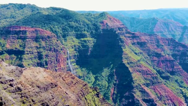 Hawaii Kauaiスローモーションブームダウンからワイレア キャニオン滝までの距離で2つの黄色の花を前面に明らかにする — ストック動画