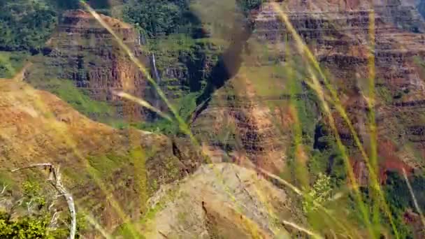 Hawaii Kauai Zpomalení Boom Nahoru Vysoké Trávy Waimea Kaňonu Vodopádem — Stock video