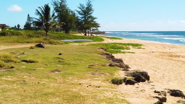 Hawaii Kauai Ağır Çekim Geniş Sağdan Sola Waimea Hanapepe Lihue — Stok video