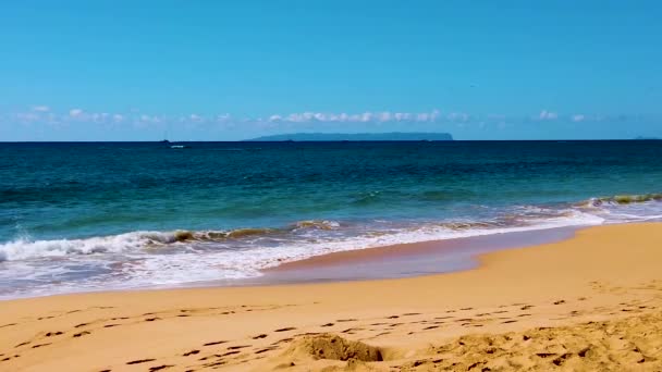 高清夏威夷考艾岛慢速移动 四艘船组成一条从右到左的直线 船尾有一个岛 波浪冲刷在海滩上 地平线上有几片云彩 — 图库视频影像