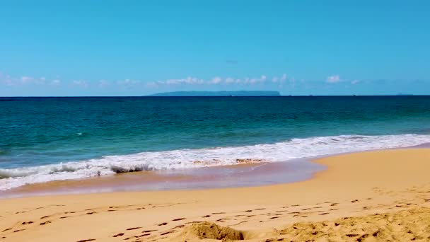 Hawaii Kauai Yavaş Çekim Okyanustaki Dört Teknenin Arka Planda Güneşli — Stok video