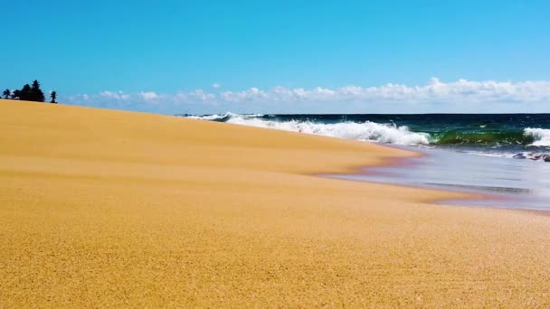 Hawaï Kauai Ralenti Boom Jusqu Partir Plans Bas Sur Plage — Video