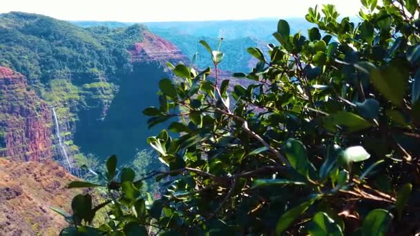 Hdハワイカウアイスローモーションブーム茂みから離れ 遠くに滝があるワイメアキャニオンを明らかにしました — ストック動画