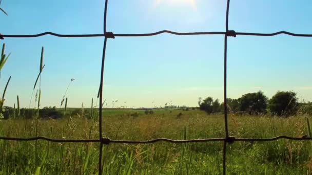 Een Veld Medium Door Het Hek Duwen Verkrijgbaar Drie Snelheden — Stockvideo