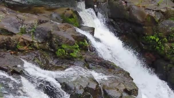 Hdハワイカウアイの遅いパンは 分割滝の左から右へ — ストック動画