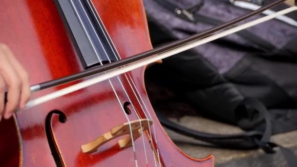 Foto Ravvicinata Una Donna Che Suona Violino All Aperto Strada — Video Stock