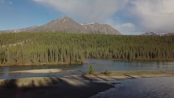 Piękny Letni Lot Wstecz Nad Rzeką Yukon Takhini Widokiem Zielone — Wideo stockowe