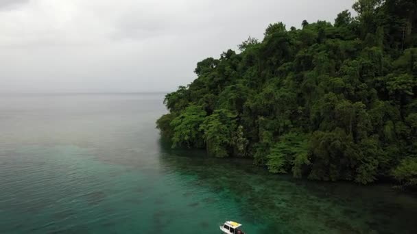 Luftaufnahme Über Einer Kleinen Insel Voller Üppigen Grünen Dschungels Bewohnt — Stockvideo