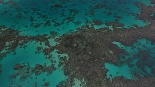 Drone Strzał Panning Nad Piękną Rafę Koralową Wielu Wzorów Intensywnych — Wideo stockowe