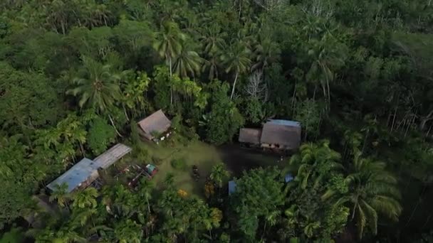 在巴布亚新几内亚的新不列颠 一群房子 在山顶上形成了一个农场或一个小村庄 被丛林和大自然包围 当地导游带游客到这里徒步旅行 — 图库视频影像