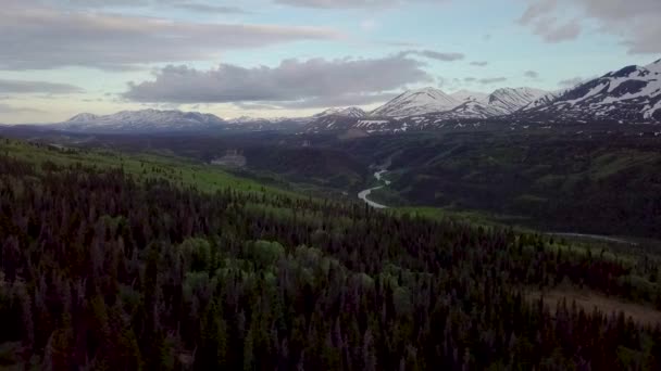 Imponujący Malowniczy Lot Nad Zielenią Yukon Ciemnymi Drzewami Leśnymi Zboczu — Wideo stockowe