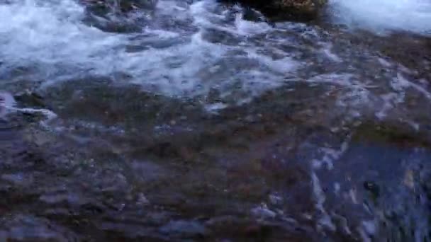 阿拉斯加Chugach州立公园Mchugh溪水中飘落的一片黄叶的慢镜头 — 图库视频影像