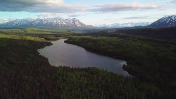Senzační Krajinná Scéna Nad Yukon Zelené Vegetace Věčně Zelený Les — Stock video