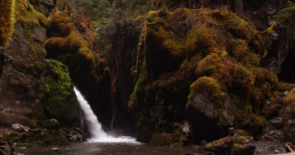 Широкий Снимок Водопада Богородицы Падающего Скалы Покрытые Мхом Национальном Лесу — стоковое видео