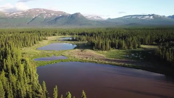 Epische Wildernis Landschap Scène Boven Yukon Groene Vegetatie Groenblijvende Boom — Stockvideo