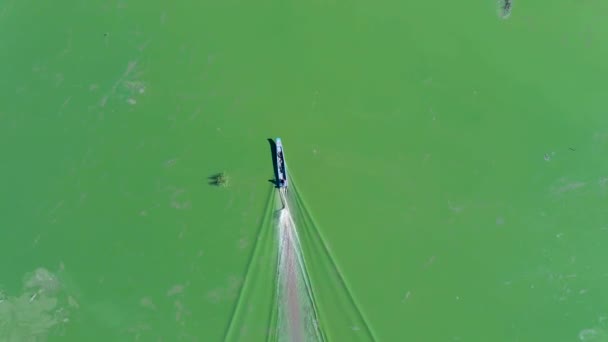 Aerial View Boat Going Low Algae Covered Water Tonle Sap — Stock Video