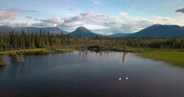 Häpnadsväckande Sommar Yukon Natursköna Flygning Ovanför Spegel Damm Sjö Med — Stockvideo