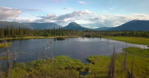 Naturskön Sommar Yukon Flygning Ovanför Reflekterande Damm Sjö Med Två — Stockvideo