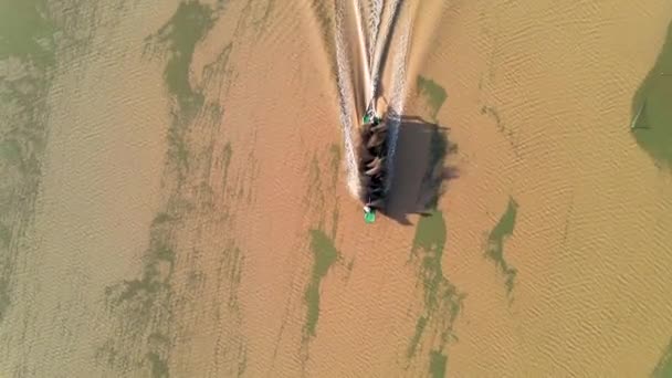 Statisch Zicht Vanuit Lucht Motorboten Die Door Ondiep Modderig Water — Stockvideo