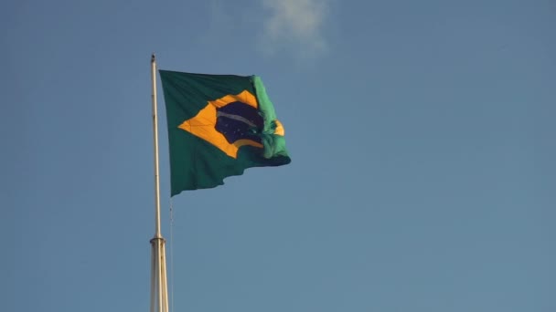 Brasil Flag Late Afternoon Waving — Stock Video