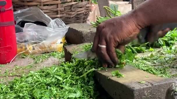 Vendedor Legumes Cortando Folhas Água Mercado Local — Vídeo de Stock