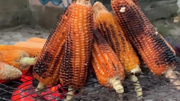 Geroosterd Maïs Zien Boven Houtskoolvuur — Stockvideo