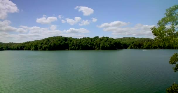 Speedboot Loopt Lake Hartwell Naast Idyllische Bossen Aan Horizon Luchtfoto — Stockvideo