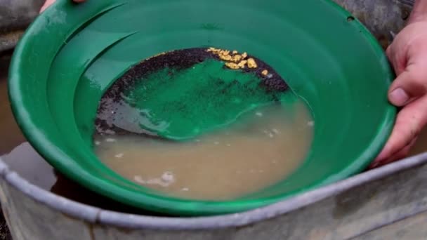 Oro Panning Prospezione Successo Caucasico Dita Maschili Vorticoso Marrone Acqua — Video Stock