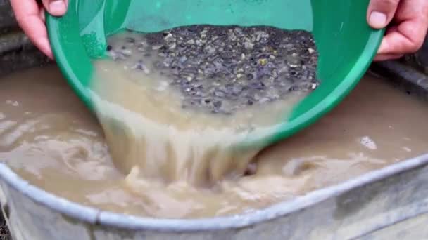 Panning Gold Small Black Grunge Silt Sand Clay Alluvial Deposits — Stock Video