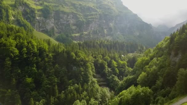 Ήρεμη Πτήση Πάνω Από Πράσινο Δάσος Στο Βουνό Όμορφο Πρωινό — Αρχείο Βίντεο
