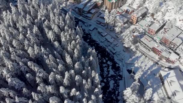 在冬天下了一场大雪之后 空中飞掠的阳光在早晨击中了老麦纳利镇和被白雪覆盖的松树树 并在4千米的高空用无人驾驶飞机射击 — 图库视频影像