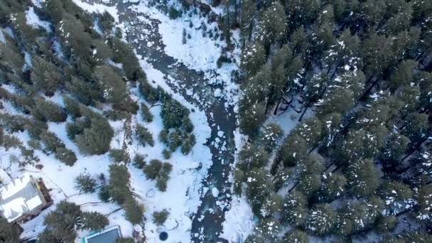 4Kのドローンで撮影された冬の雪の後に雪のパッチで包まれたビーズ川 旧マナリ町 および大きなパインツリーの空中トップダウンショット — ストック動画