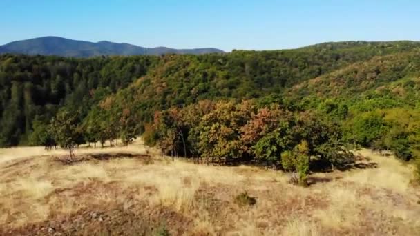 Arial Utsikt Över Severni Kucaj Mountain Serbien Drönaren Flyger Över — Stockvideo