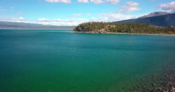 Epic Vuelo Verano Panorámico Por Encima Brillante Verde Turquesa Lago — Vídeos de Stock