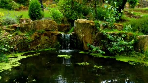 Ein Kleiner Bach Fließt Einen Schönen Teich Mit Viel Vegetation — Stockvideo