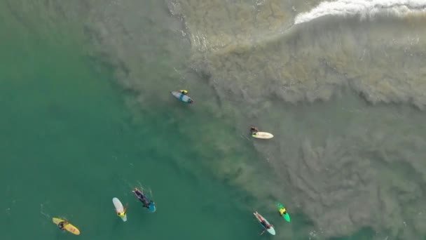 Vertikale Luftaufnahmen Zeigen Anfänger Und Fortgeschrittene Surfer Auf Ihren Surfbrettern — Stockvideo