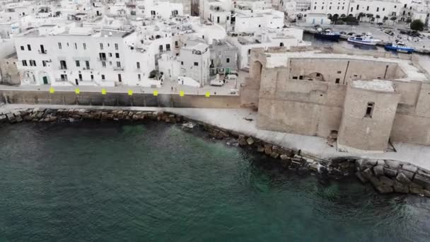 Drone Vole Mer Dessus Château Monopoli Centre Historique Aube — Video