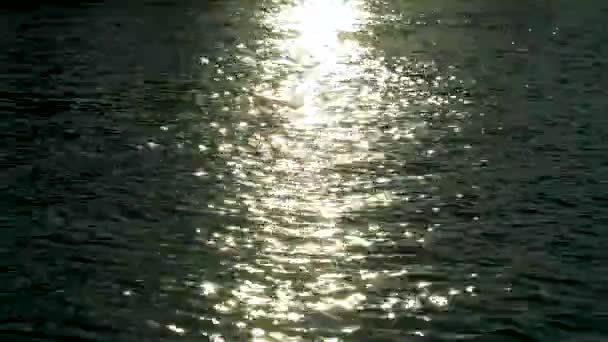 Bazén Západ Slunce Odraz Slunce Vodě — Stock video