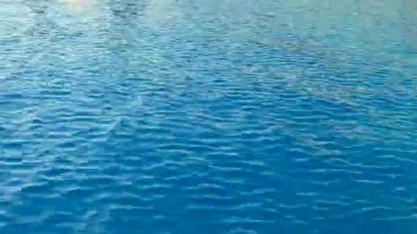 Vlnění Vody Bazénu Čistý Bazén Odraz — Stock video