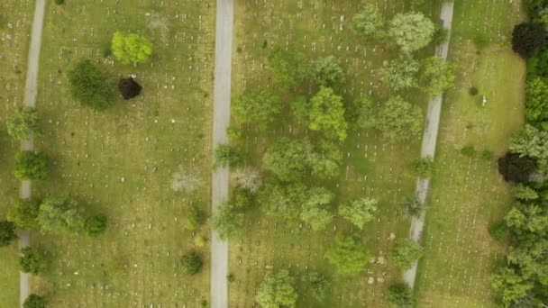 Drone Overhead Aerial View Cemetery Drone Buffalo Cemetery Top Pass — Stock Video