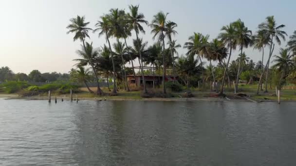 Backward Moving Aerial View Coastal Village Birds Flying Sea Palm — Stock Video