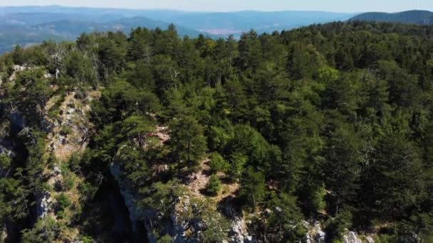Drone Inclinação Aérea Disparou Sobre Banjska Rock Montanha Tara Sérvia — Vídeo de Stock