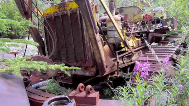 川によって谷の遠隔地の緑の植生 風景や花を成長させ ハンドヘルドパンアップクローズアップで古い錆びた破壊放棄 捨てられ 壊れたブルドーザー — ストック動画