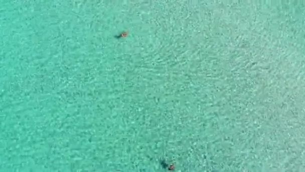 Drone Πετά Πάνω Από Κρυστάλλινα Νερά Του Salento Όπου Λίγοι — Αρχείο Βίντεο