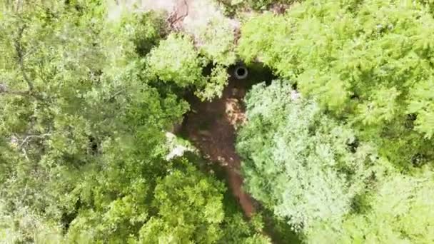Skrytý Drahokam Džungli Odhalen Historické Skalní Sochy Století Zobrazující Šivu — Stock video