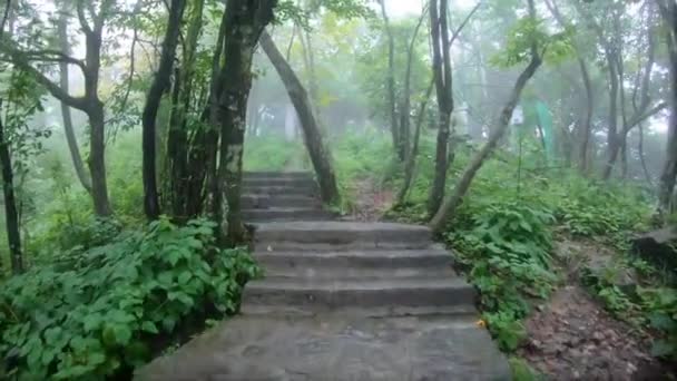 Motion Lapse Video Stony Stairs Walking Path Sacred Tianmen Mountain — Vídeo de stock